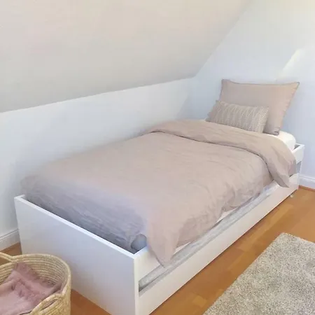 Dans Maison De Caractere Appartement Mulhouse